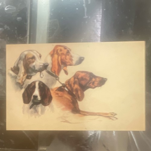 Cartolina illustrata cani - , da