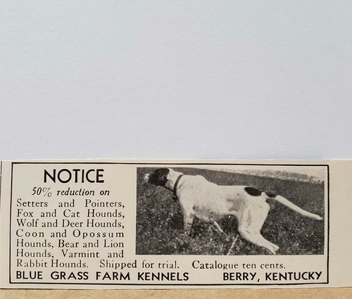 Blue grass farm kennels 1934 - farm,