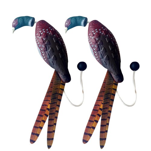 Pezzi fagiano manichino - fagiano,