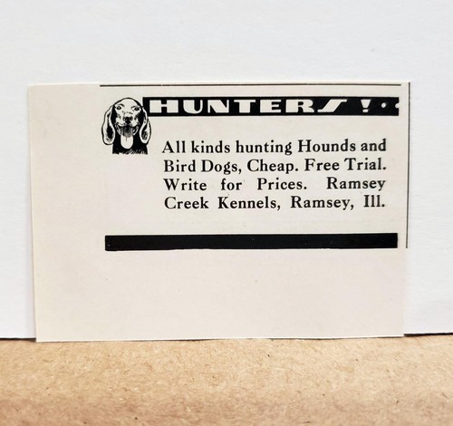 1934 ramsey creek farm - 1934, kennels