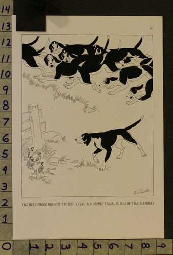 1935 cane belvidere cani - cane,