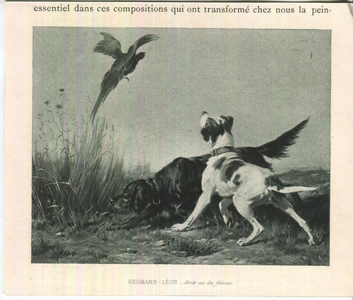 Antico terrier vittoriano