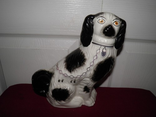 Splendido raro cane bianco - , e