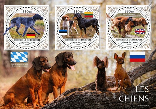 Cani pointer hunting - cani, (pointer/hunting