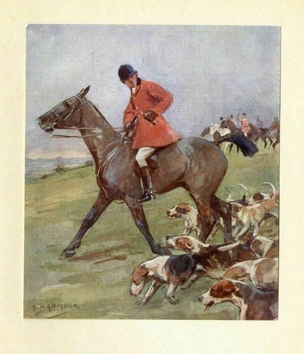 Cani cacciatori cavalli - cani,