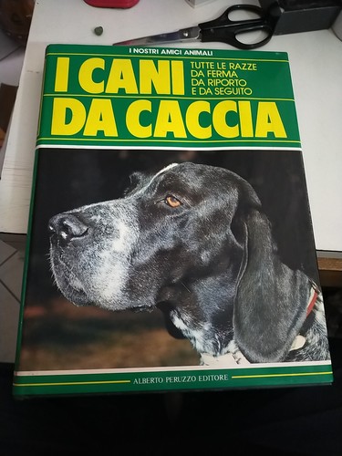 Cani caccia ferma riporto - cani,